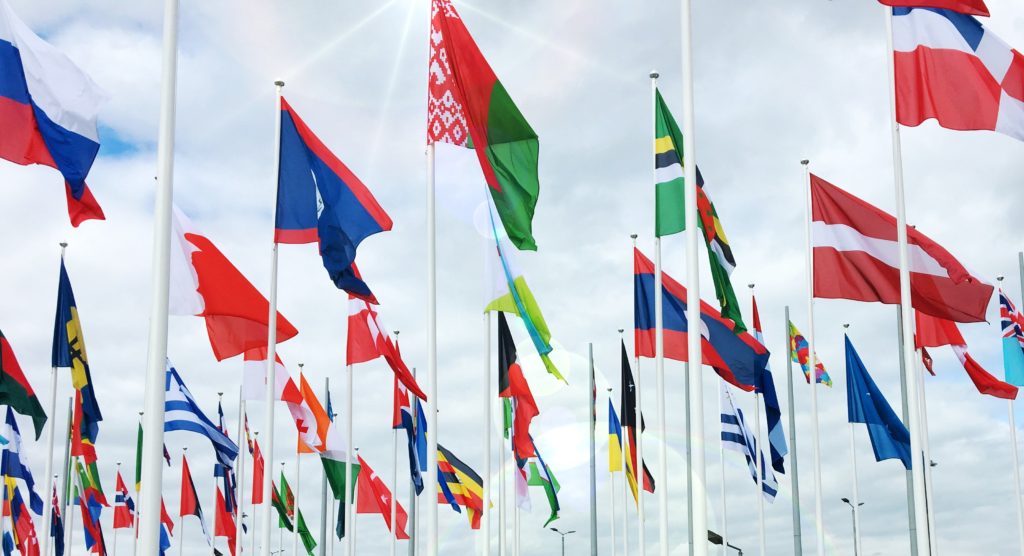 Photo of many flags raised on poles